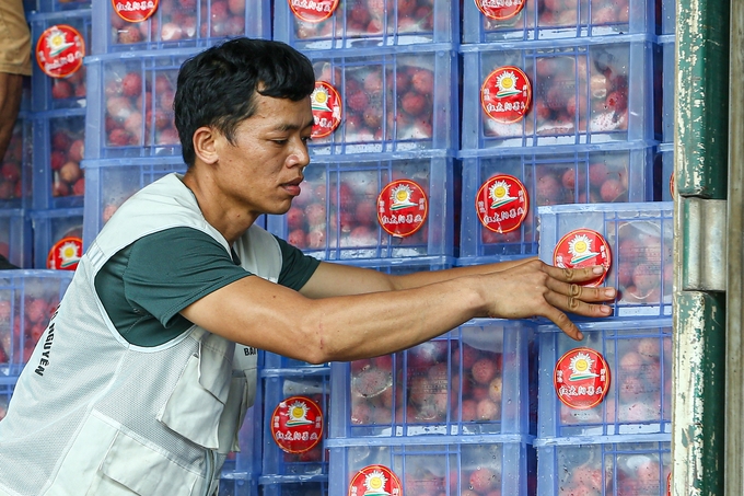Công nhân bốc xếp vải lên container xuất sang thị trường Trung Quốc. Ảnh: VV