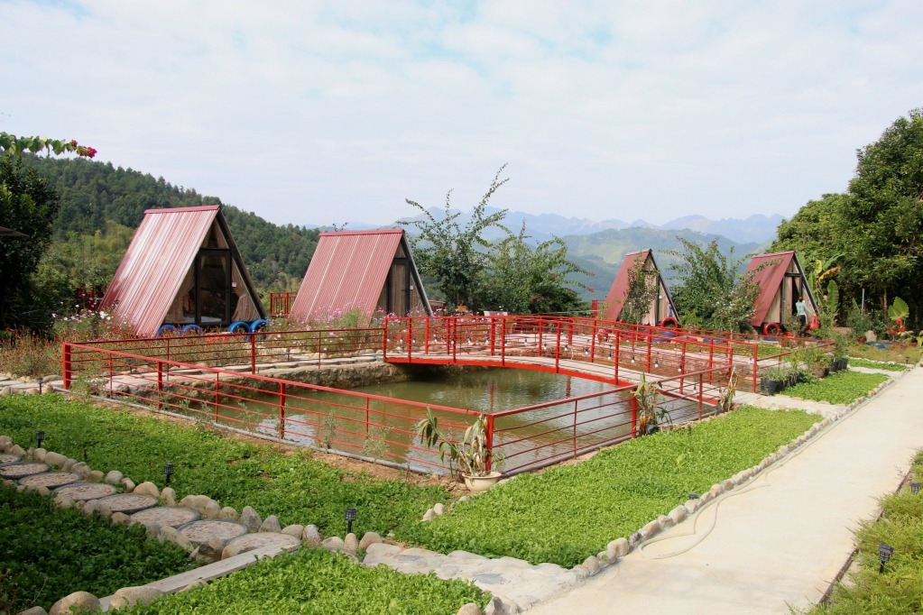 Homestay Hoa sở khai thác hiệu quả lợi thế cảnh quan thiên nhiên tươi đẹp của rừng sở thôn Đồng Long, xã Đồng Tâm