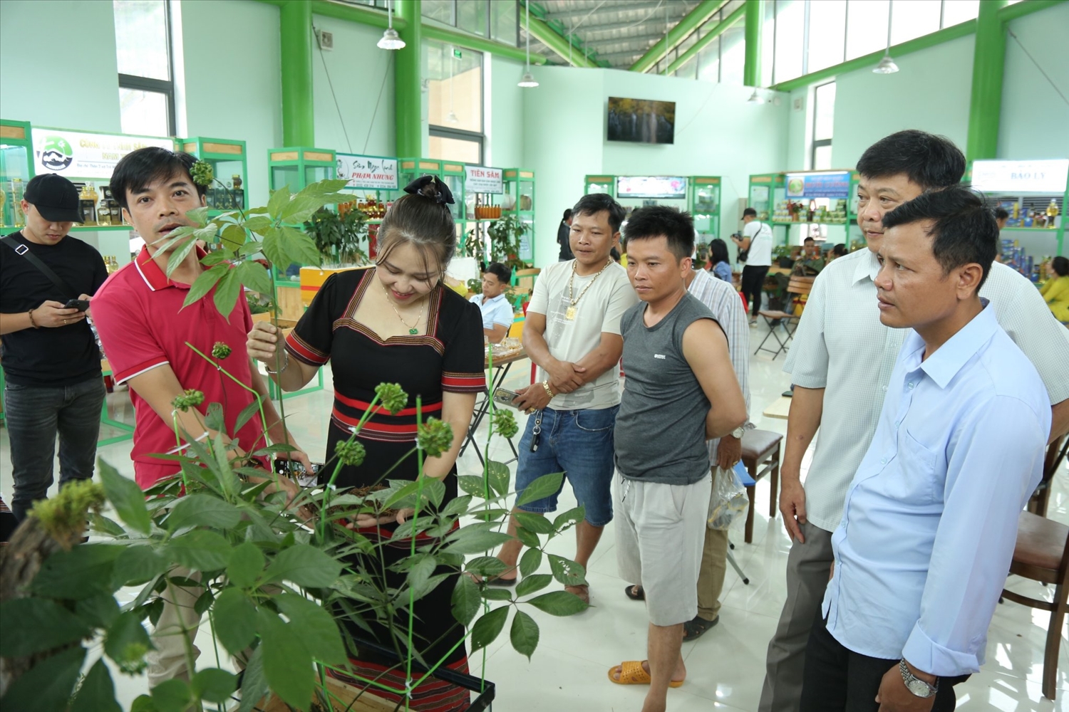 Phiên chợ sâm Ngọc Linh được tổ chức hang tháng tại huyện Nam Trà My