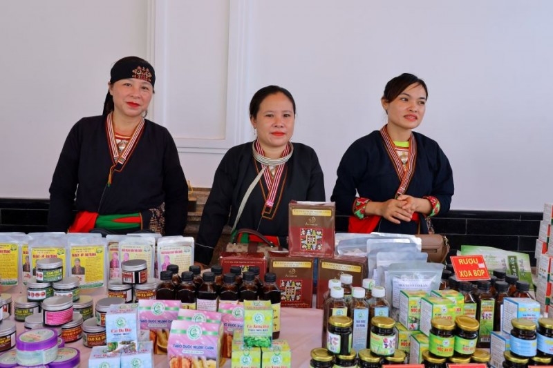 Phát triển dược liệu Việt gắn với phát triển kinh tế - xã hội vùng đồng bào dân tộc thiểu số và miền núi 4