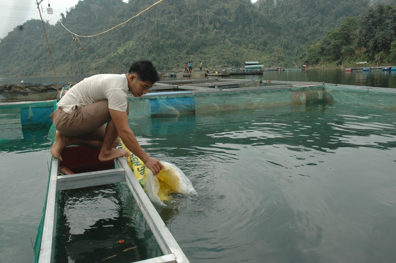 Đồng bào dân tộc thiểu số nghèo ở vùng lòng hồ thủy điện Tuyên Quang được hỗ trợ cá giống để nuôi trồng thủy sản. 