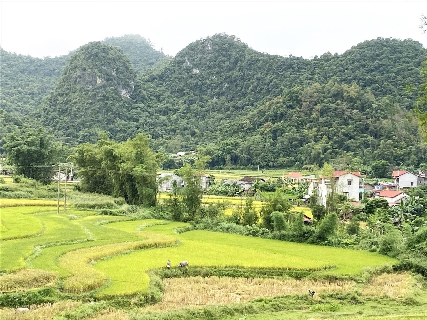 Từ năm 2021 đến nay, tỉnh Cao Bằng đã huy động lồng ghép nhiều nguồn vốn để thực hiện các CTMTQG với tổng số vốn thực hiện hơn 14.600 tỷ đồng. Ảnh: TS