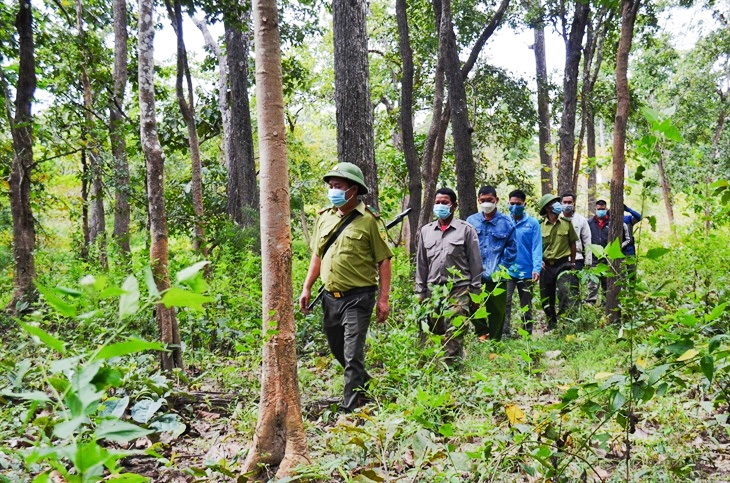 Nâng cao thu nhâp từ rừng góp phần thúc đẩy người dân tích cực tham gia quản lý, bảo vệ rừng. (Trong ảnh: Người dân được giao khoán rừng cùng lực lượng Kiểm lâm VQG Yok Don tuần tra quản lý, bảo vệ rừng - Ảnh: N.L)