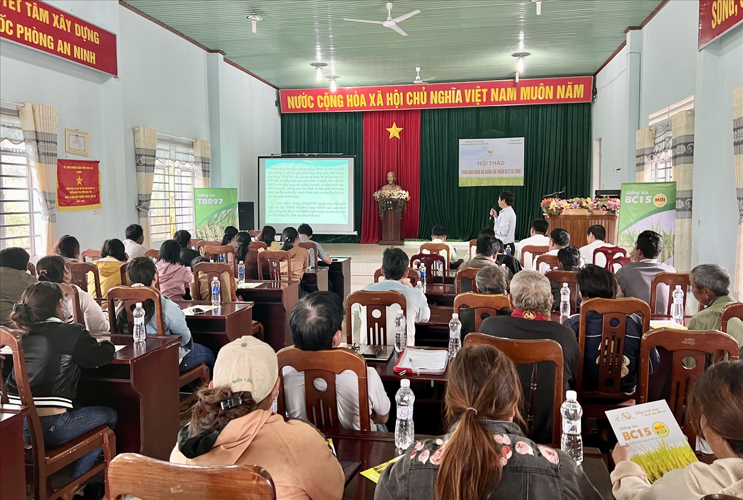 Quang cảnh hội thảo đánh giá giống lúa nước chất lượng TBR97 và BC15 tại xã Chư Đang Ya