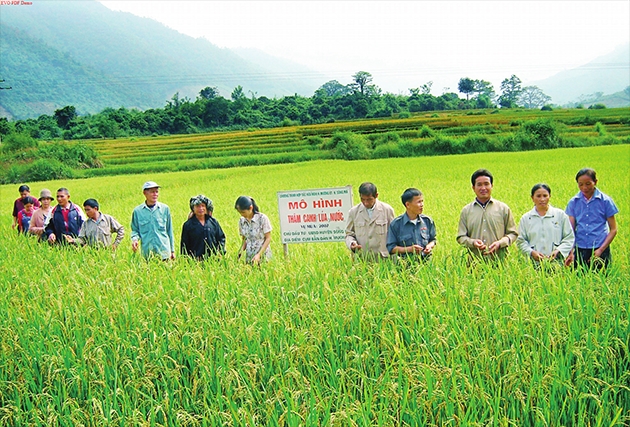 Trong những năm qua, ngành nông nghiệp Việt Nam đã hỗ trợ cây, con giống, kỹ thuật khoa học cho ngành nông nghiệp Lào
