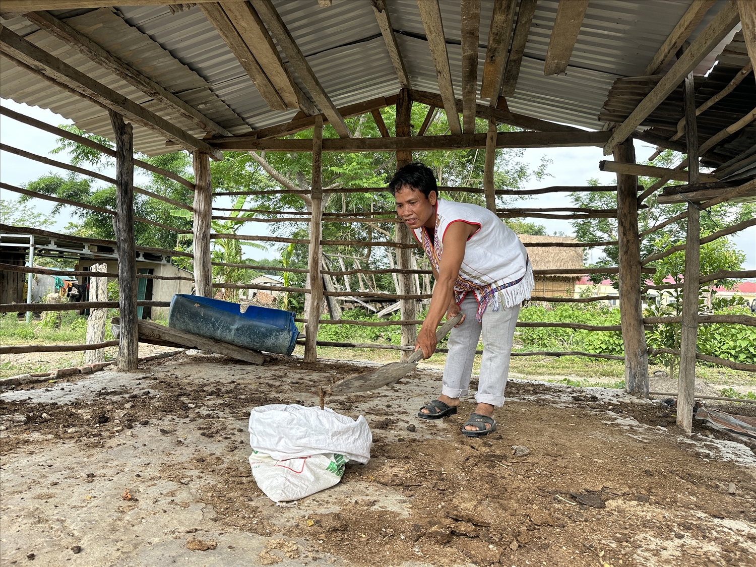Già A Ngốc làm chuồng trại nuôi bò, giúp bà con thay đổi nếp nghĩ, cách làm trong chăn nuôi.
