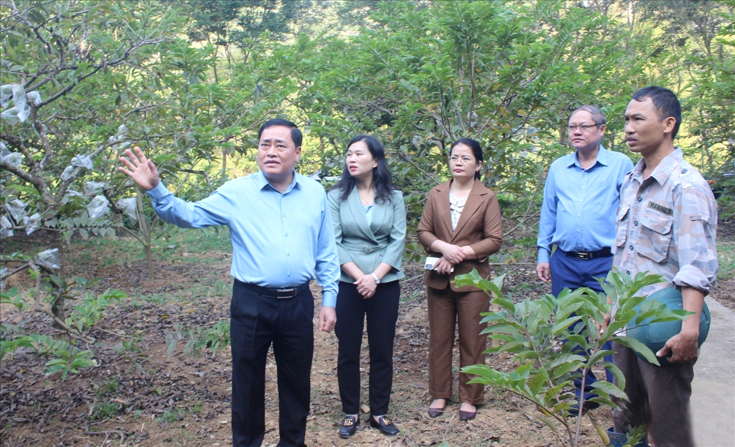 Ông Hồ Tiến Thiệu, Chủ tịch UBND tỉnh Lạng Sơn (ngoài cùng bên trái) thăm vườn na tại huyện Chi Lăng.