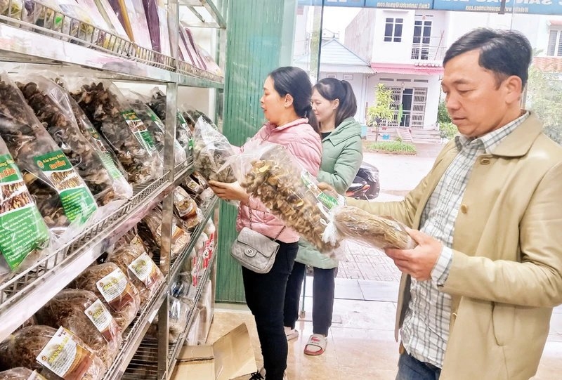 Nhiều nông sản đặc sản của Cao Bằng được chứng nhận sản phẩm OCOP