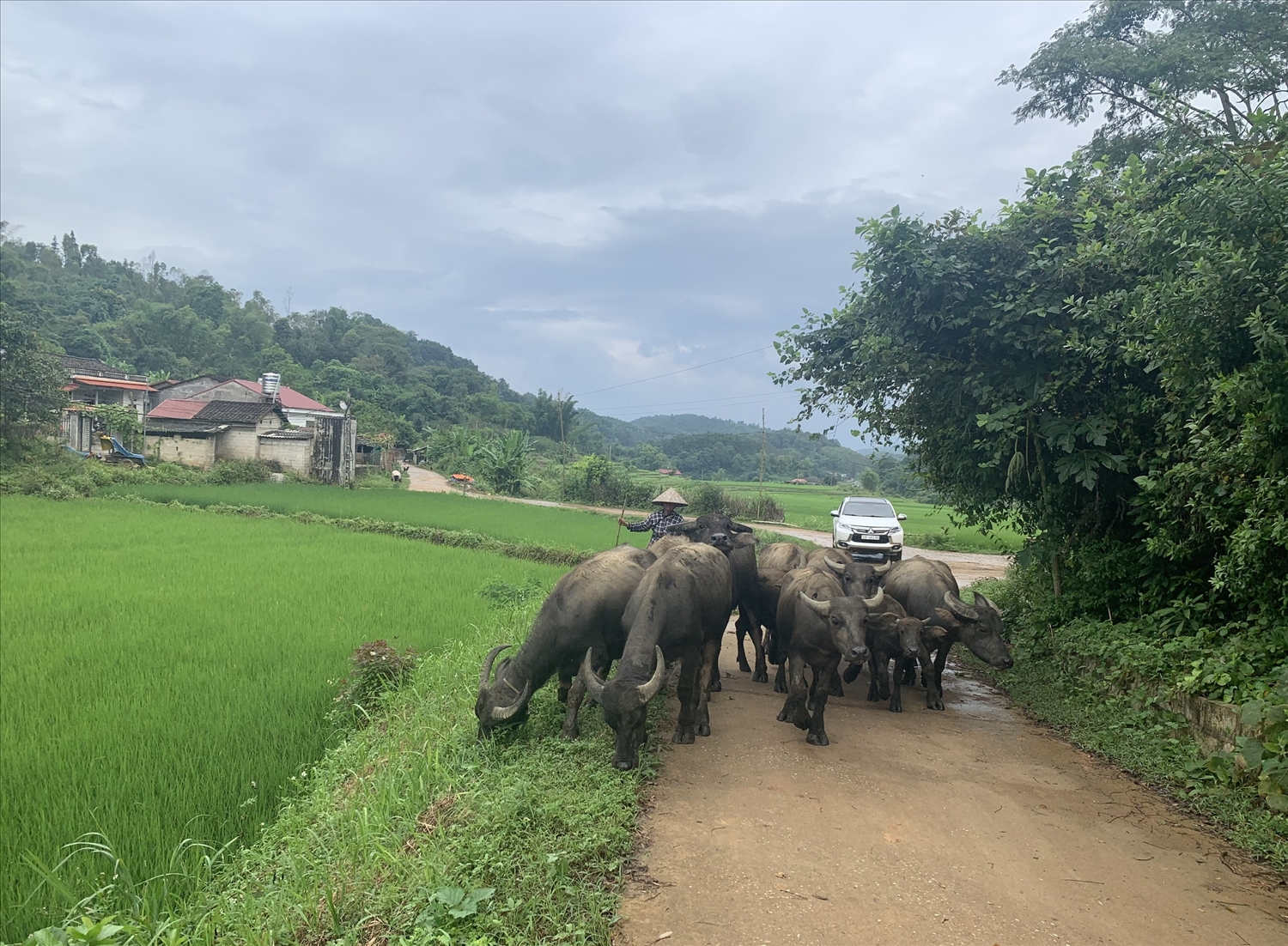 Diện mạo làng quê huyện Văn Lãng ngày một đổi thay rõ rệt