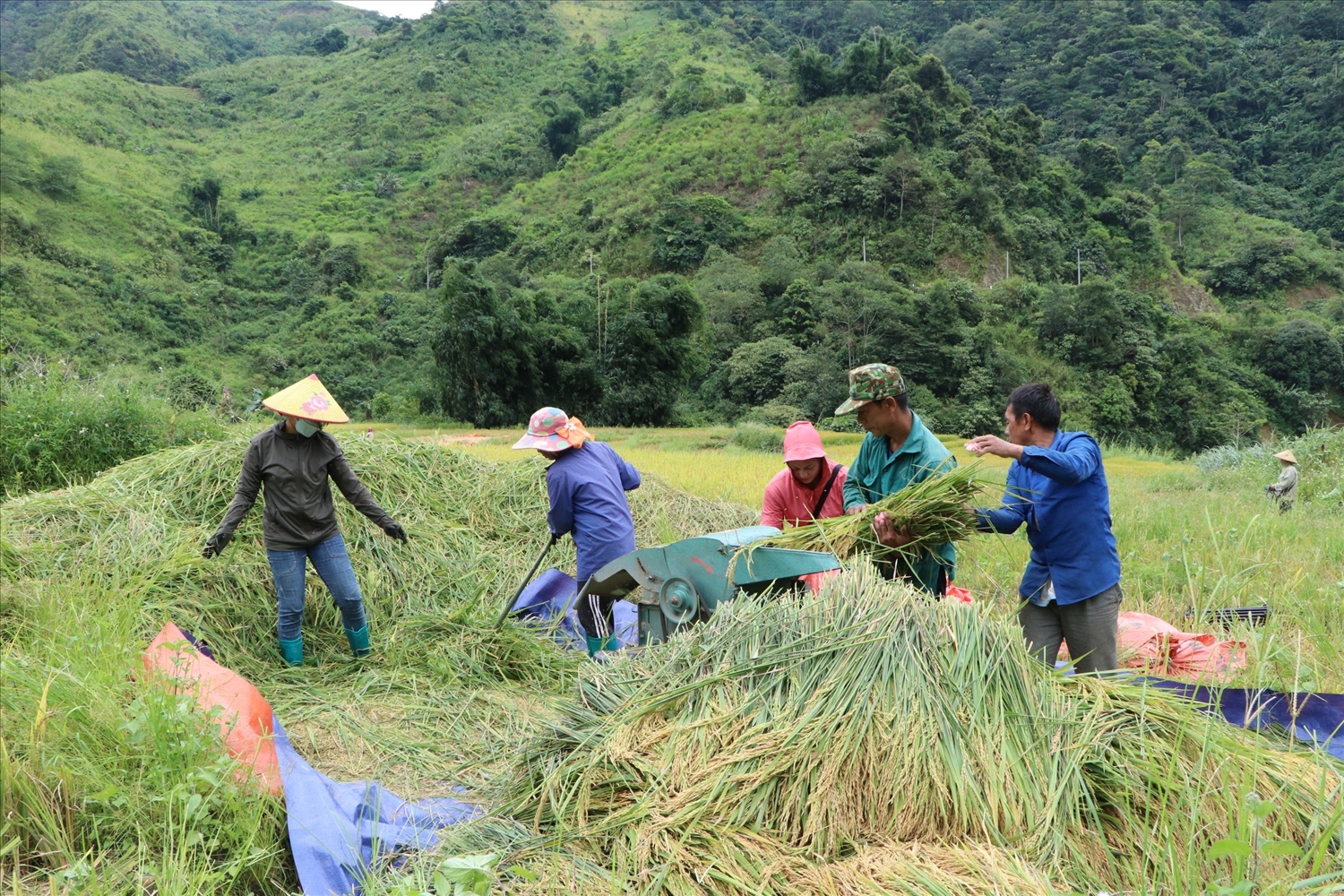 Đời sống kinh tế-xã hội vùng đồng bào DTTS trên địa bàn tỉnh Lai Châu đã và đang có bước phát triển tích cực