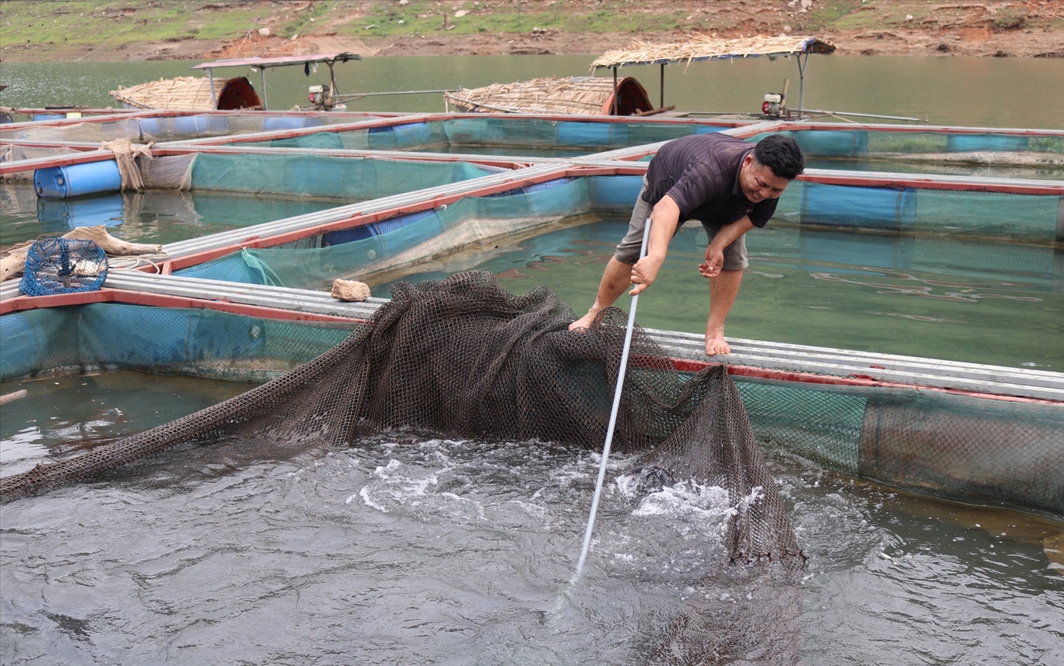 Ở Sơn La hiện đã có nhiều mô hình sản xuất nông nghiệp hàng hóa, mang lại giá trị kinh tế cao. (Trong ảnh: Mô hình nuôi cá lồng ở xã Chiềng Ơn, huyện Quỳnh Nhai)