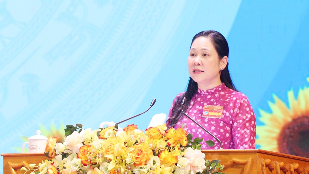 Thứ trưởng, Phó Chủ nhiệm Uỷ ban Dân tộc Nông Thị Hà phát biểu tại hội nghị