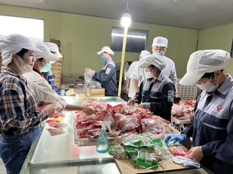 2018年以来、ミサキベトナム有限責任会社は、アンズ1,183トン、ショウガ941トン、駕籠1,362トン、タケノコ1,245トン、野菜172トン、大根112トン、お菓子12トンを日本に輸出している。 野菜。