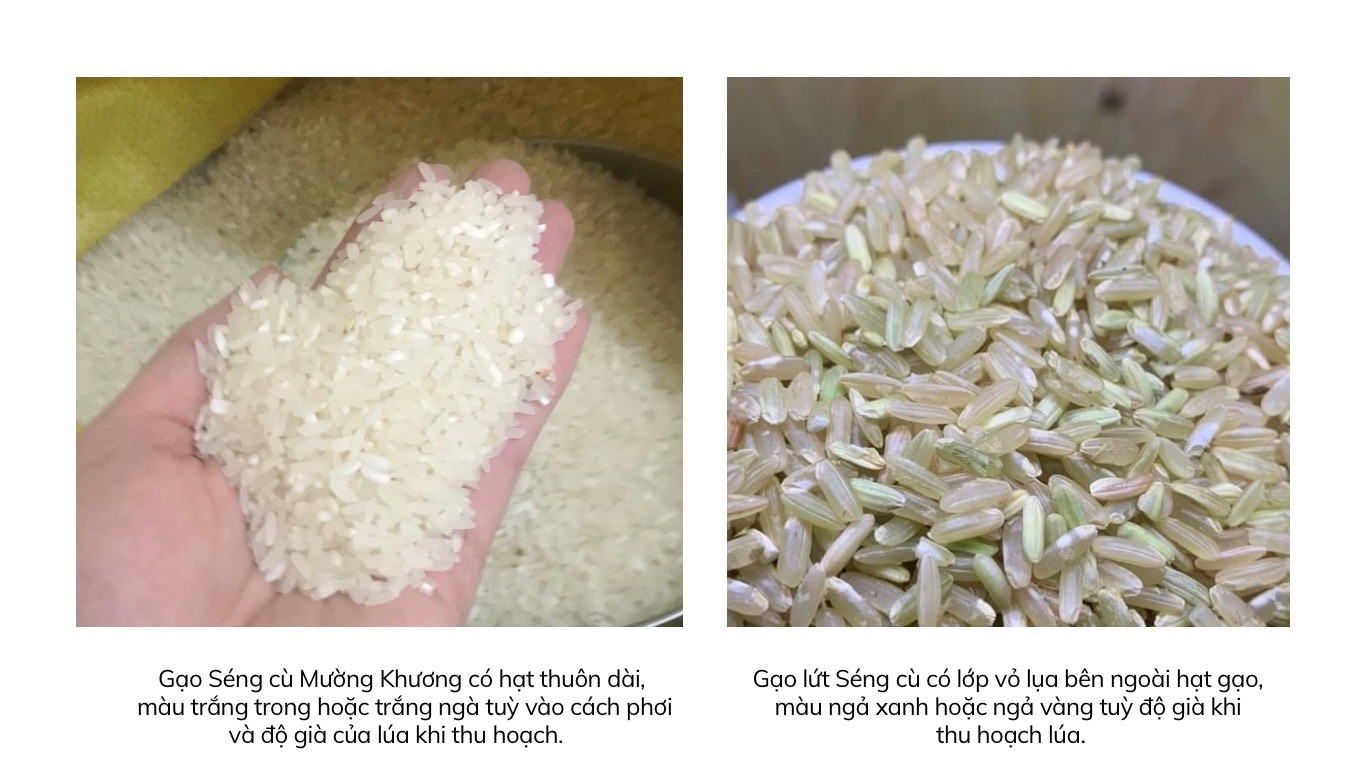 Hãy là người tiêu dùng thông thái: Thực hư về gạo Séng cù xanh gây sốt trên thị trường 2