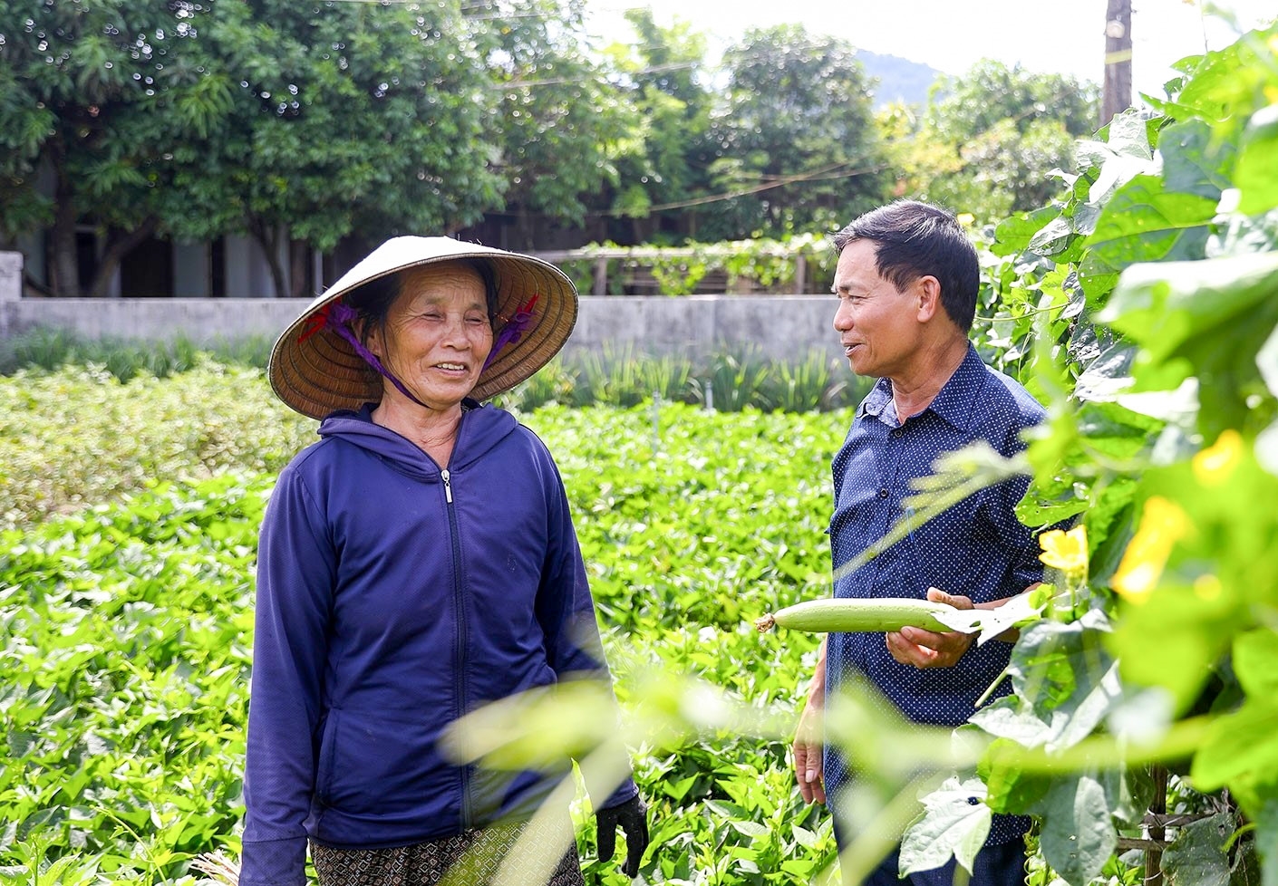 Ông Tuyên thường xuyên trò chuyện cùng người dân trong thôn về tình hình sản xuất vườn hộ