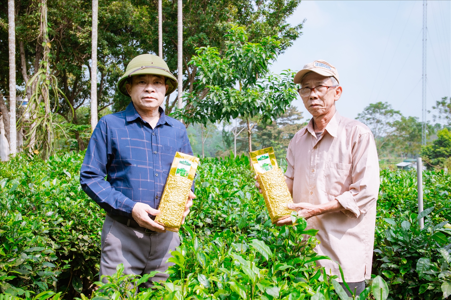 Ông Đinh Công Phu (bên trái) và ông Bùi Ngọc Chung giới thiệu về sản phẩm chè Ba Trại được UBND thành phố Hà Nội công nhận là sản phẩm OCOP 3 sao năm 2021.