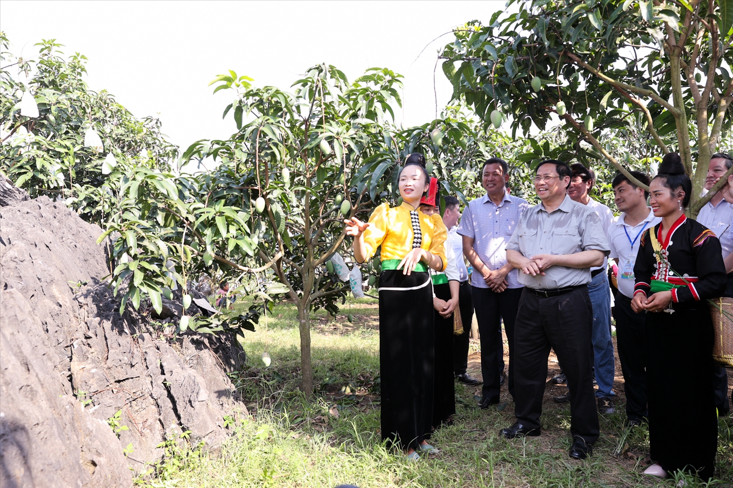 Thủ tướng Phạm Minh Chính thăm mô hình thâm canh xoài hữu cơ tại xã Hát Lót, huyện Mai Sơn chiều 28/5/2023.