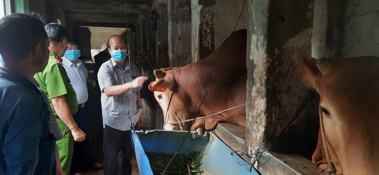 Lãnh đạo Huyện ủy Đồng Văn thăm mô hình phát triển chăn nuôi của Người có uy tín Mua Nhìn Chứ ở thôn Tả Sán, xã Hố Quáng Phìn