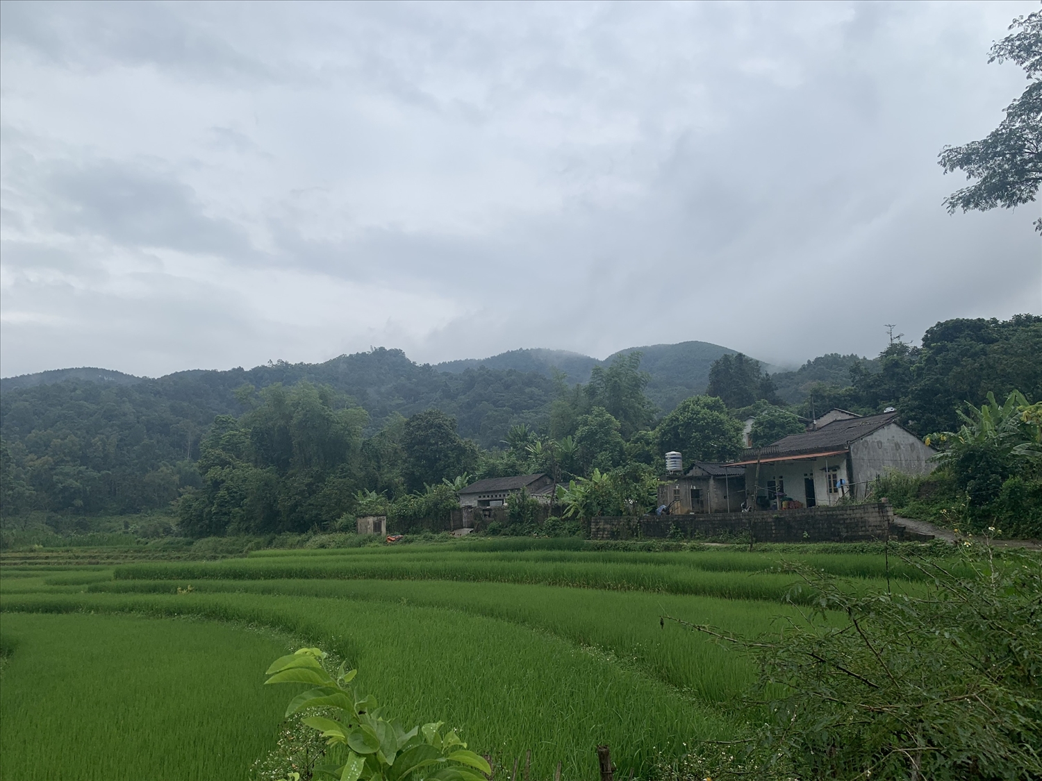 Các thôn vùng biên giới huyện Văn Lãng, nơi các đối tượng mua bán người thường lợi dụng để đi qua