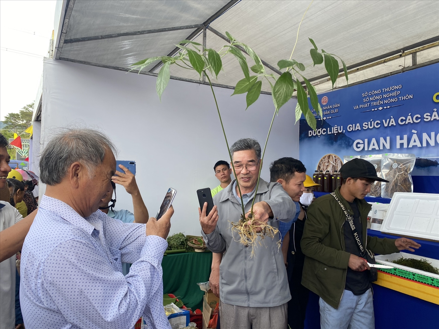 Sâm Ngọc Linh do đồng bào DTTS ở huyện Đăk Glei trồng luôn thu hút sự quan tâm của khách hàng khi đến Chợ phiên