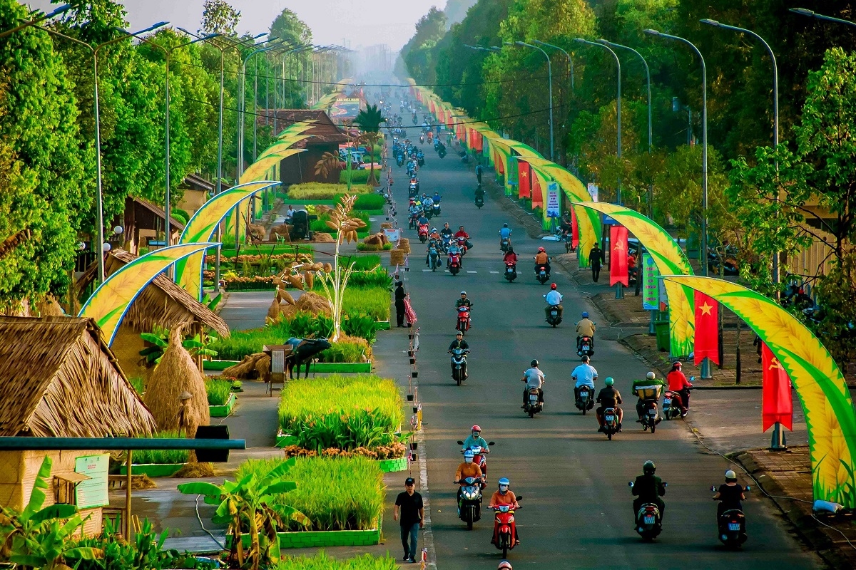 Toàn cảnh con đường lúa gạo Việt Nam