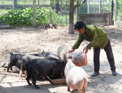 Phát triển chăn nuôi giúp đồng bào dân tộc thiểu số ở huyện Thuận Bắc vươn lên thoát nghèo bền vững. 