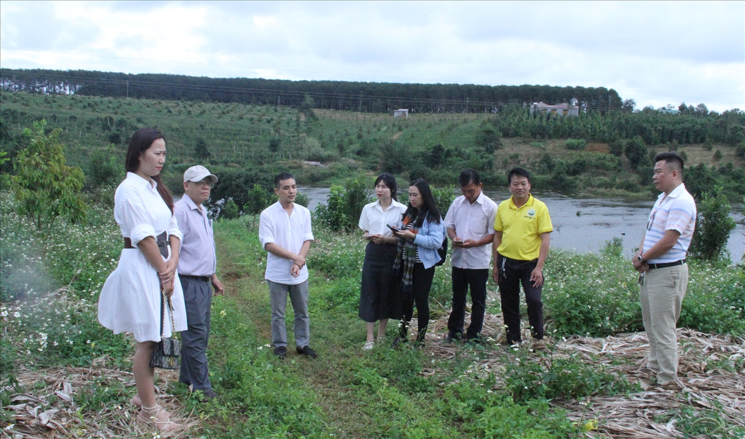 Đoàn công tác tham quan vùng quy hoạch dược liệu tại huyện Đắk Glong