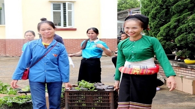 Hỗ trợ gần 10.000 cây giống chanh leo cho Tổ hợp tác phụ nữ xã Thanh Sơn