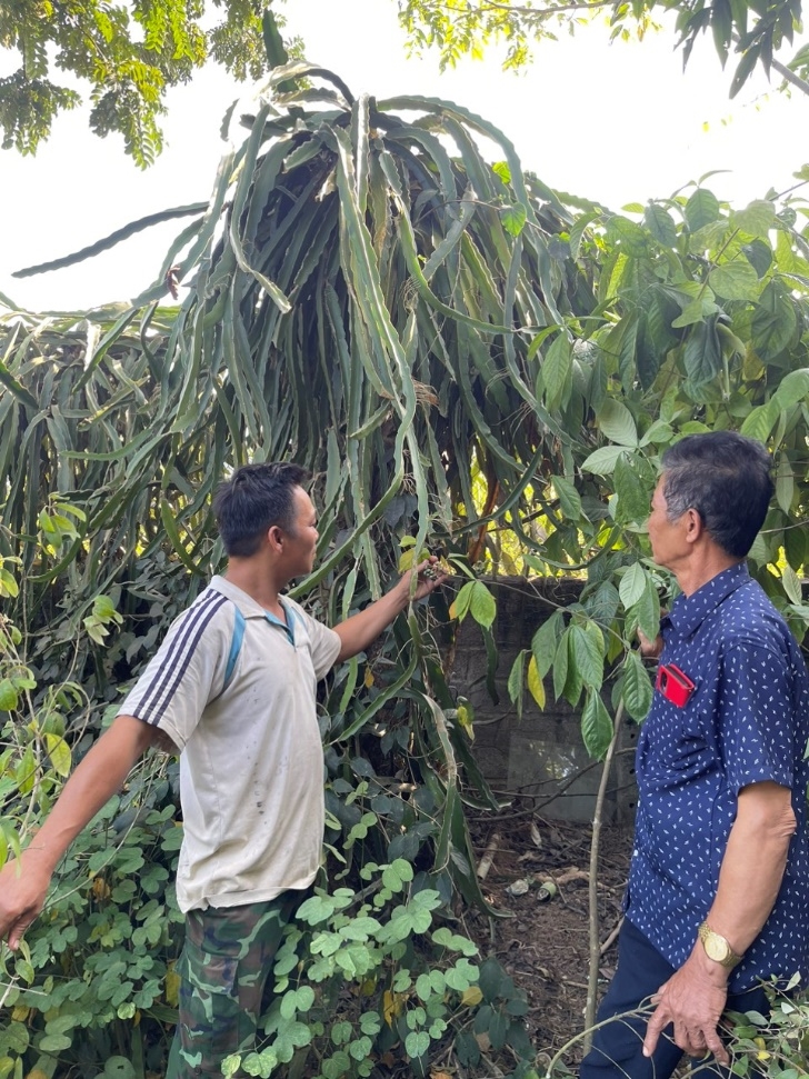 Ông Bùi Văn Thao (bên phải) thăm các mô hình kinh tế hiệu quả của người dân trong xóm