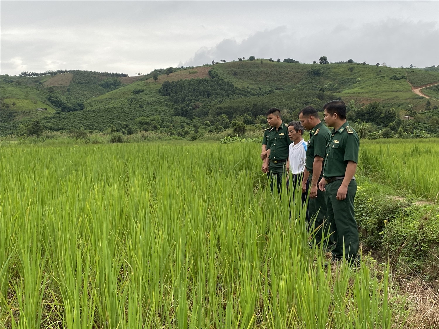 Cán bộ Đồn Biên phòng Sa Loong hướng dẫn ông A Liên ở thôn Giang Lố 1, xã Sa Loong, huyện Ngọc Hồi biết cách sản xuất lúa nước 2 vụ