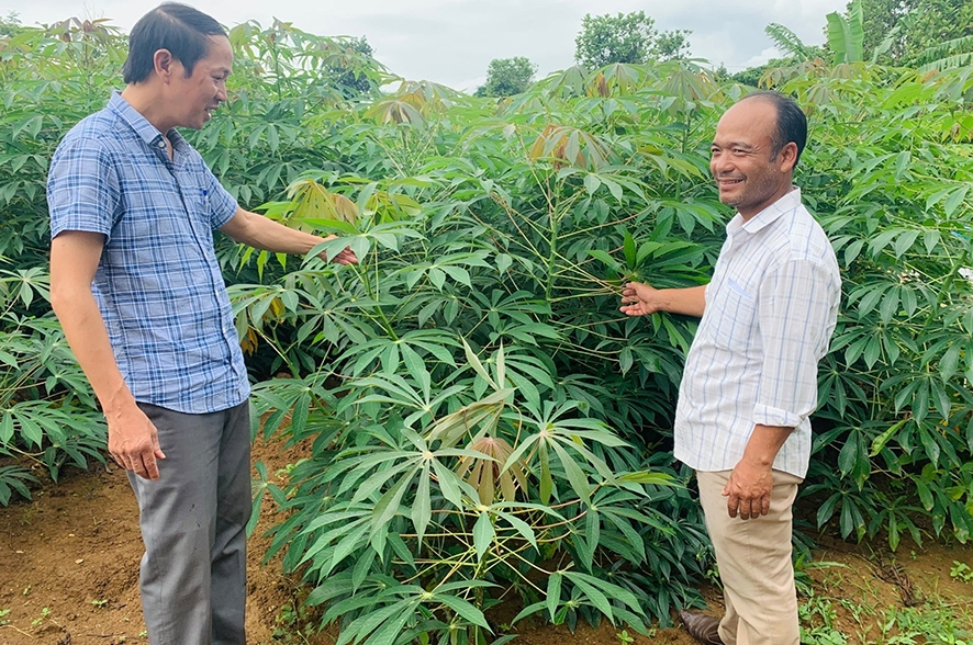 Anh Khun (bên phải) chia sẻ về kinh nghiệm trồng sắn -Ảnh: K.S