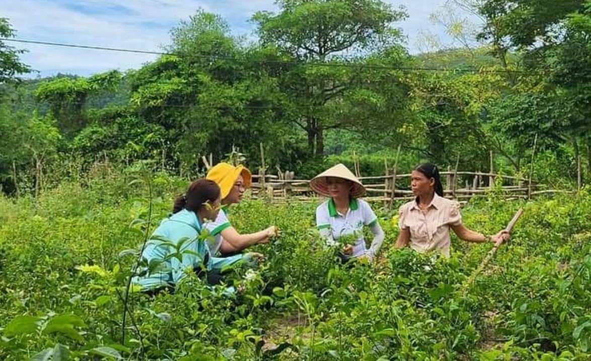 Tỷ lệ áp dụng cơ giới hóa trong sản xuất nông nghiệp vùng đồng bào DTTS trên địa bàn huyện Hướng Hóa, Quảng Trị vẫn còn hạn chế