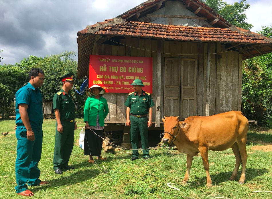 Các cấp ngành tỉnh Phú Yên hỗ trợ bò giống cho hộ nghèo