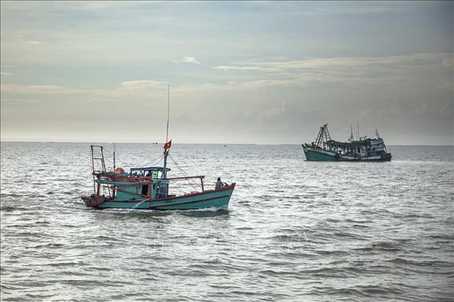 (BCĐ- Tin Thông tin đối ngoại): Mở đợt cao điểm về chống khai thác hải sản bất hợp pháp