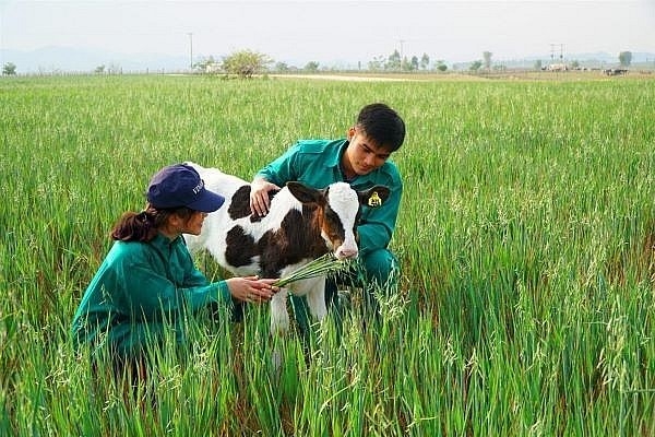 (BCĐ- Thông tin đối ngoại) Thúc đẩy hợp tác ngành nông nghiệp Việt - Lào giai đoạn 2023- 2025 3