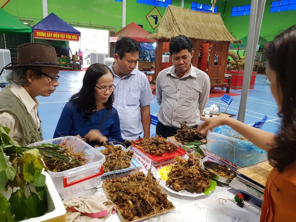 Phiên chợ sâm Ngọc Linh ở Nam Trà My được tổ chức thường xuyên, thu hút lượng khách lớn