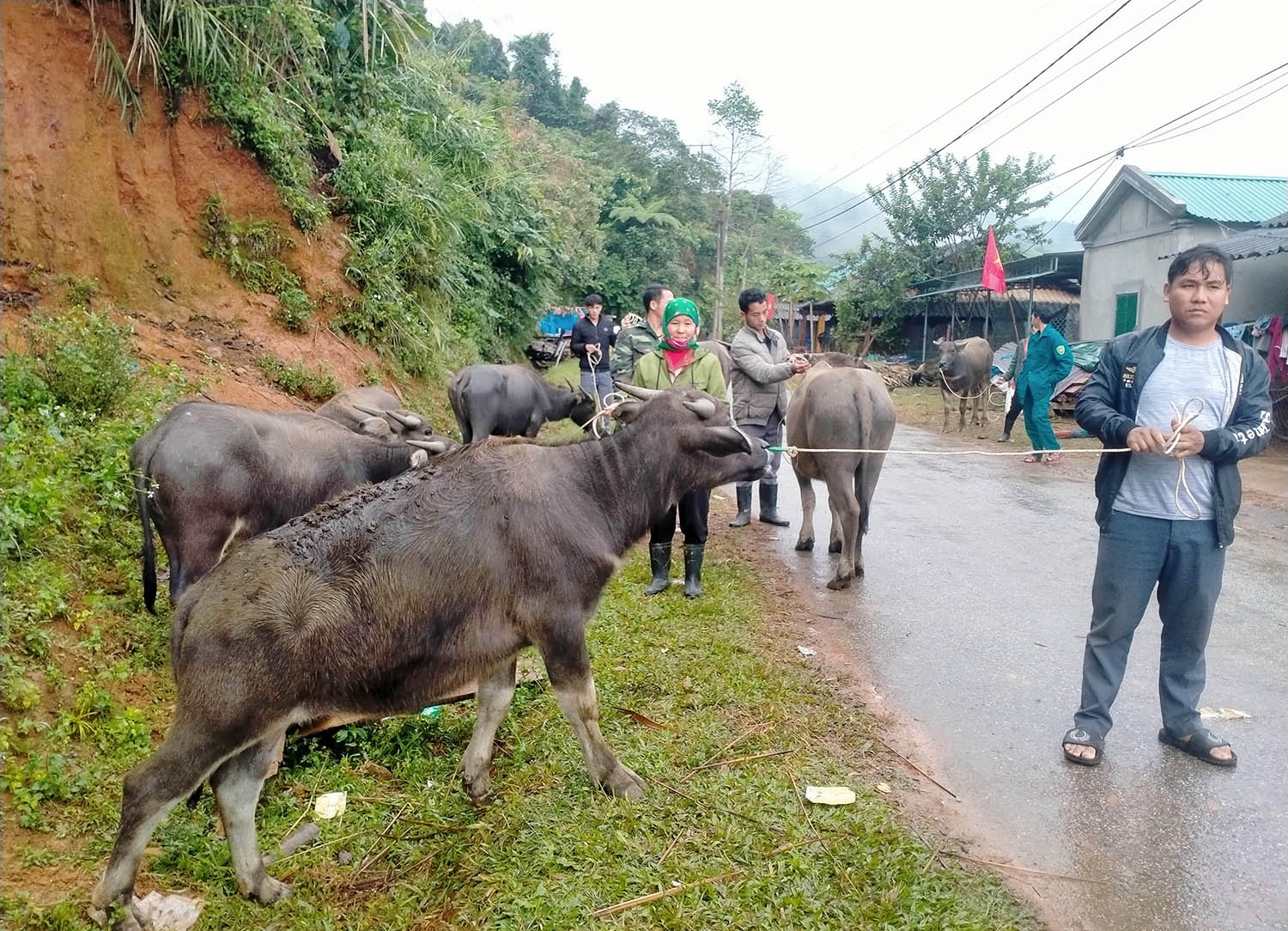Niềm vui của người dân khu vực biên giới Nghệ An khi được nhận giống vật nuôi