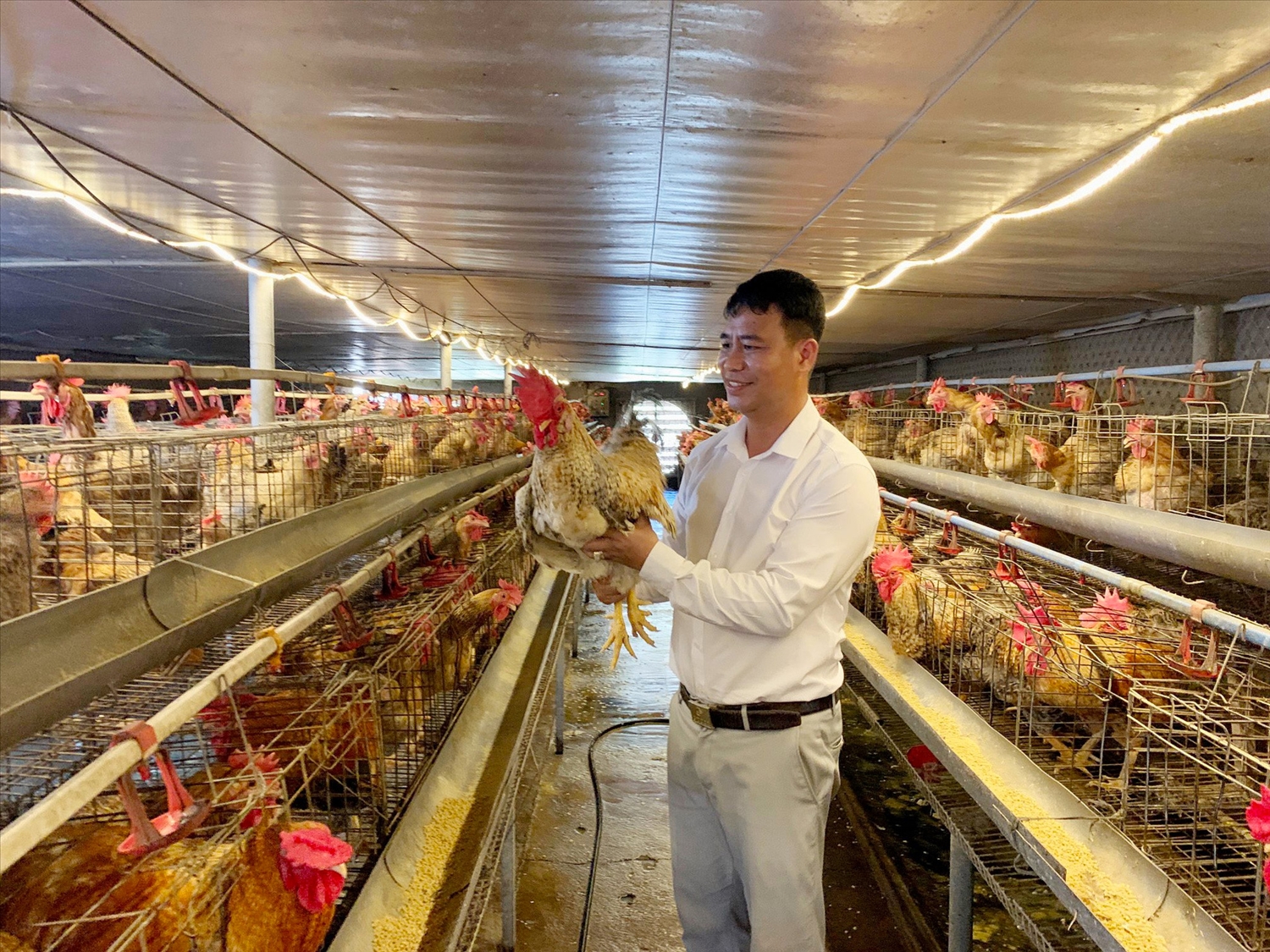 HTX nông nghiệp Tuyền Hiền đã liên kết với hơn 100 hộ chăn nuôi gà ở địa phương theo hướng sản xuất tập trung, giúp nhiều gia đình thoát nghèo vươn lên làm giàu