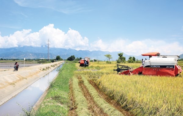 Ninh Thuận tập trung giải quyết tình trạng thiếu đất ở, đất sản xuất, nước sinh hoạt; bố trí, sắp xếp ổn định dân cư