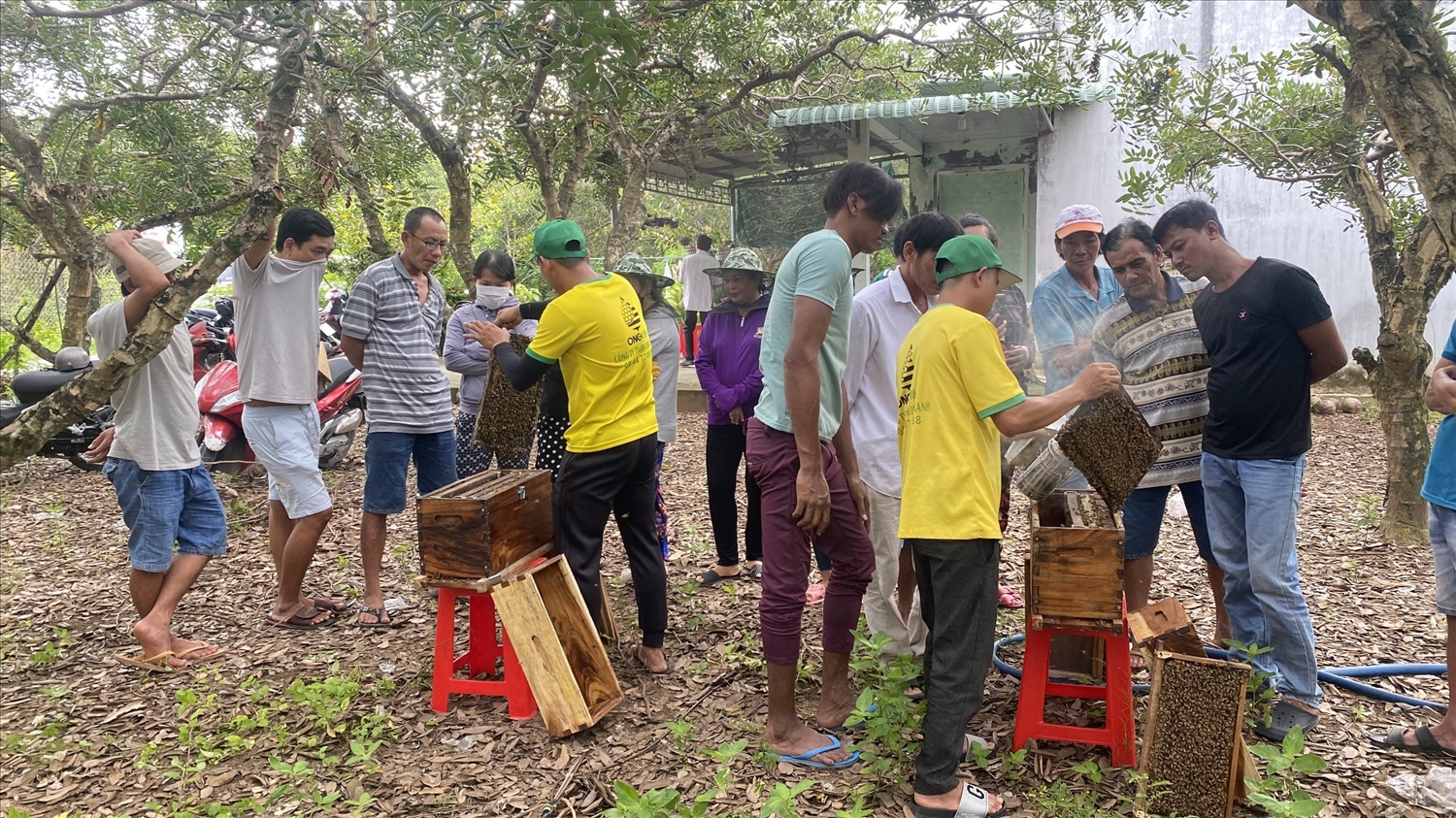 Đồng bào dân tộc Khmer Thị xã Vĩnh Châu( Sóc Trăng) được tập huấn kỹ thuật nuôi ong lấy mật 