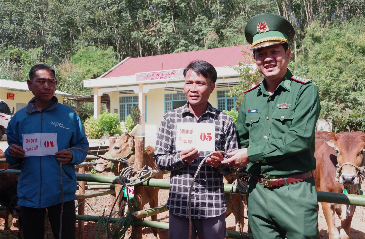 Đại tá Lê Quốc Việt, Chỉ huy trưởng BĐBP tỉnh Kon Tum trao bò giống cho các hộ có hoàn cảnh khó khăn hai bên biên giới Việt Nam – Lào