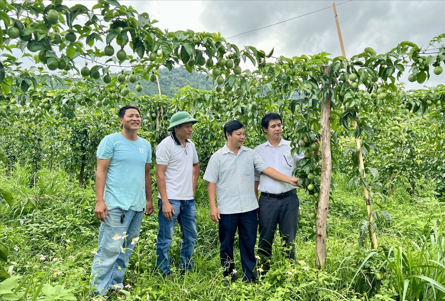 Ngành Nông nghiệp huyện Chư Păh luôn đồng hành, hỗ trợ HTX nông nghiệp phát triển theo hướng gắn với các sản phẩm nông nghiệp chủ lực của địa phương.