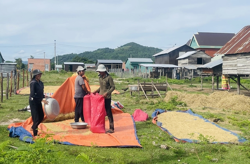 Cuộc sống mới ấm no đến với bà con ở khu tái định cư buôn Du, xã Chư Rcăm, huyện Krông Pa