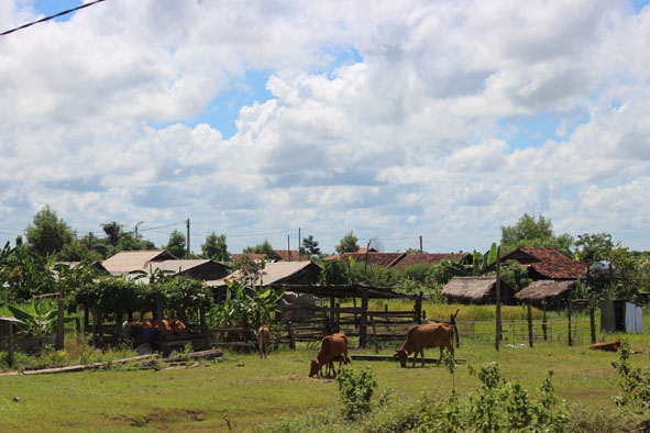 Nhiều địa phương có dân DCTD nhiều đang có tỷ lệ nghèo cao hơn rất nhiều so với bình quân chung. (Trong ảnh: Mộc góc làng của người DCTD ở xã Cư Kbang, huyện Ea Súp, tỉnh Đăk Lăk)