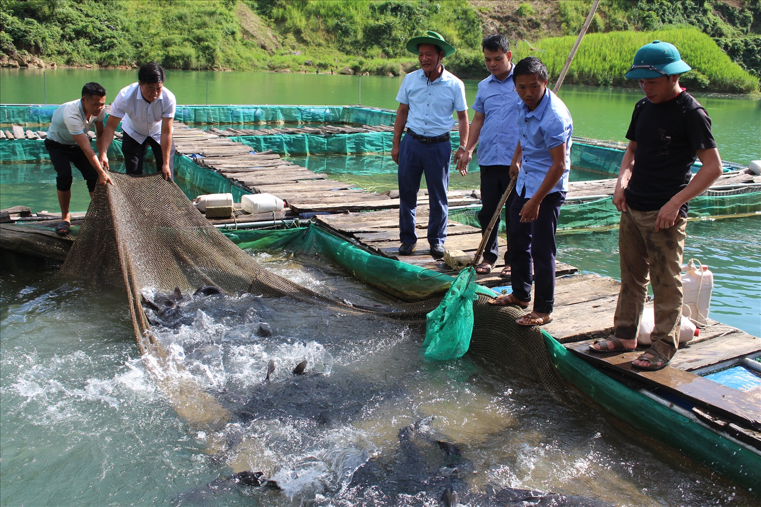 Ngay từ khu vực bến thuyền trên đường đến hẻm Phong Lưu, Hợp tác xã Du lịch – Dịch vụ nuôi thủy sản Châu Kiệt nuôi cá lồng phục vụ nhu cầu ăn uống của du khách