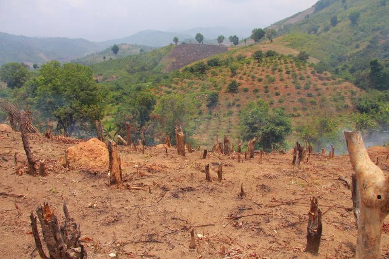 Hiện còn 3.337.770ha rừng nghèo, rừng nghèo kiệt, đất chưa có rừng nhưng chưa giao (không có chủ) tạm để UBND cấp xã quản lý.