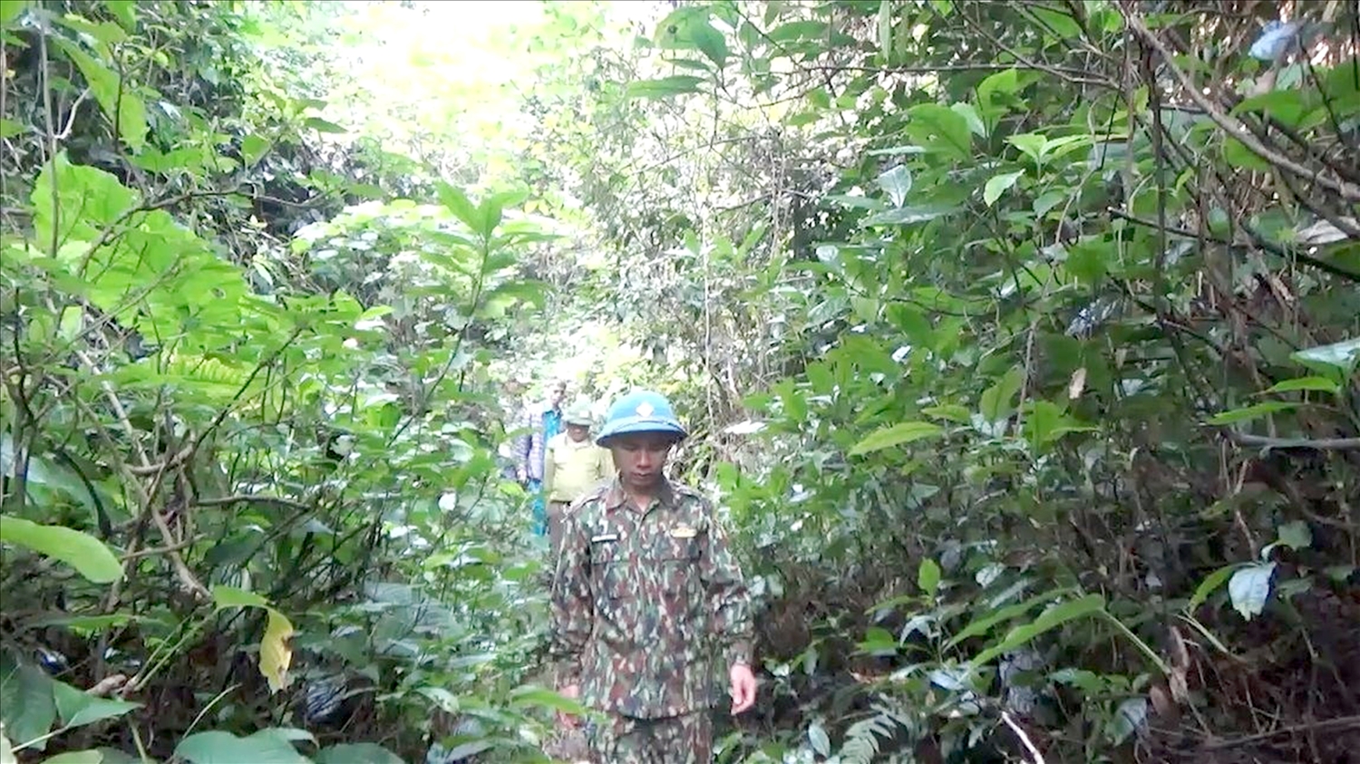 Thôn Đông Đằng cũng đã thành lập các tổ, đội thường xuyên tuần rừng, bảo vệ rừng.