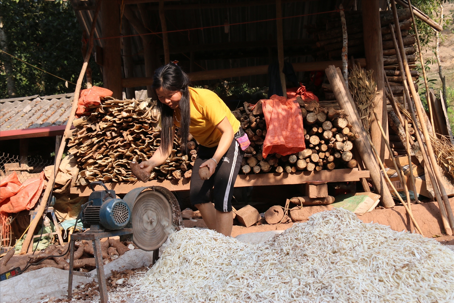Người dân bản Nà Ín, xã Chà Nưa (Nậm Pồ, Điện Biên) sử dụng tiền chi trả dịch vụ môi trường rừng mua máy nạo sắn chăn nuôi lợn