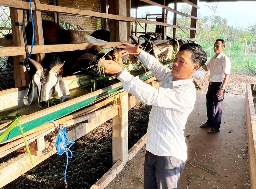 Anh Rơ Châm Krip (làng Bàng, xã Ia Nhin, huyện Chư Păh) tham gia mô hình nuôi dê sinh sản liên kết với HTX Dịch vụ nông nghiệp Núi Cờ mang lại thu nhập cho gia đình