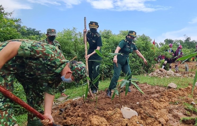 Lực lượng BĐBP tỉnh Quảng Ninh phối hợp với người dân xã Bắc Sơn (TP Móng Cái) trồng tre bảo vệ biên giới